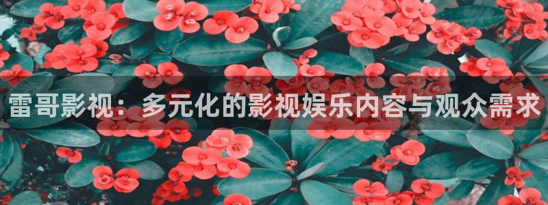 第九七影院：雷哥影视：多元化的影视娱乐内容与观众需求