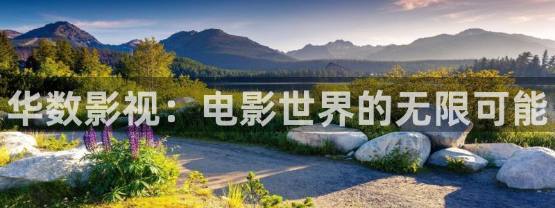九七电影在线 写：华数影视：电影世界的无限可能