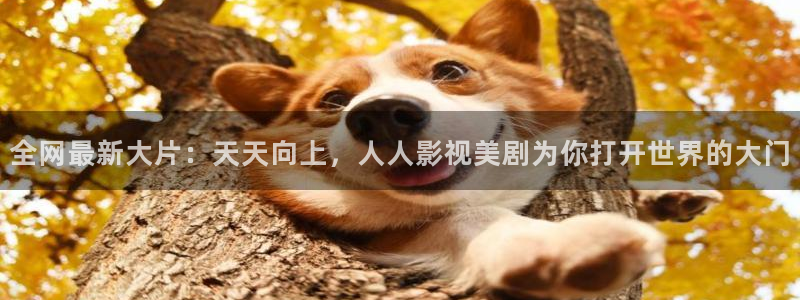 九七电影院网：全网最新大片：天天向上，人人影视美剧为你打开世界的大门