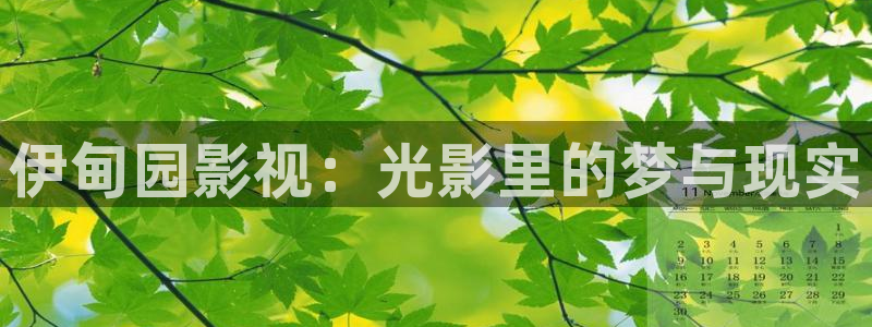 九七电影网理论片：伊甸园影视：光影里的梦与现实
