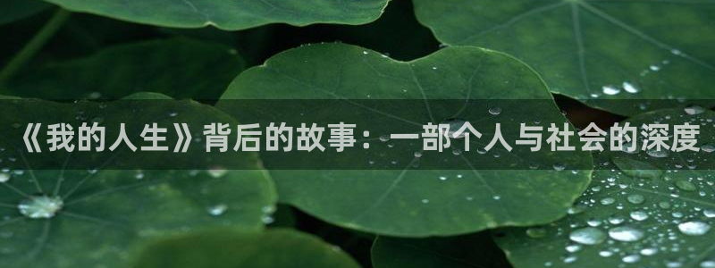 九七免费电影院：《我的人生》背后的故事：一部个人与社会的深度