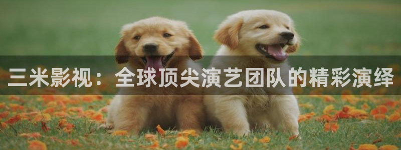 九七电影在线观看免费播放电视剧：三米影视：全球顶尖演艺团队的精彩演绎